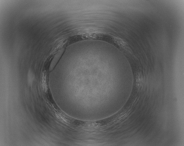 X0000052951060200507151703