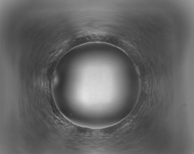 X0000052951061200507151703