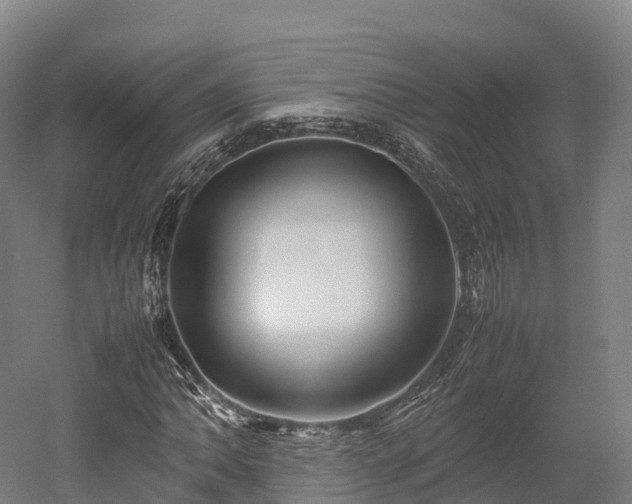 X0000052951062200507151703