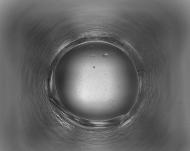 X0000052951065200507151703