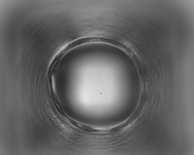 X0000052951069200507151703