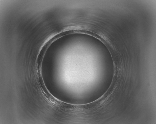 X0000052951070200507151703