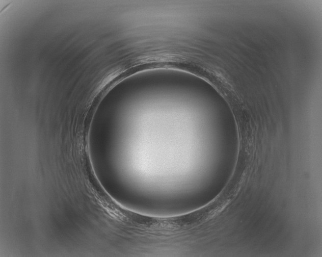 X0000052951073200507151703
