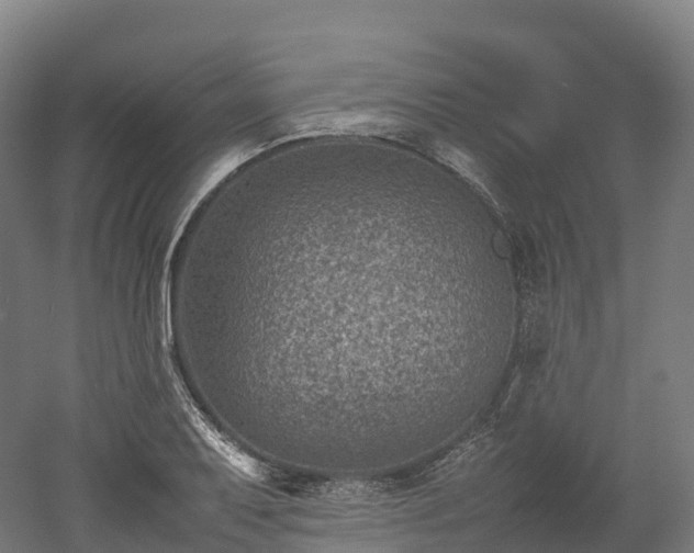 X0000052951079200507151703