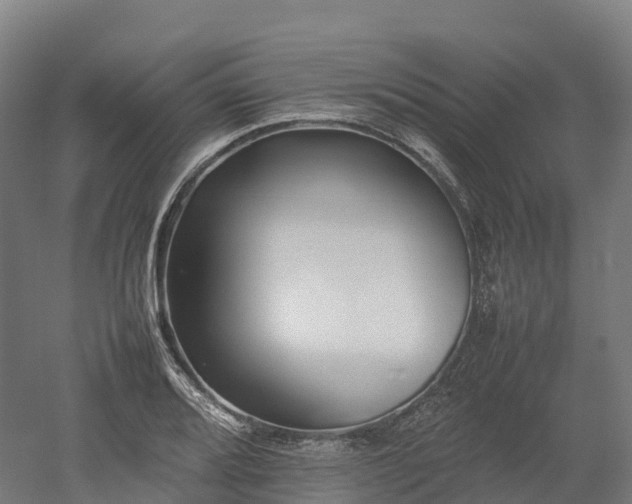 X0000052951080200507151703