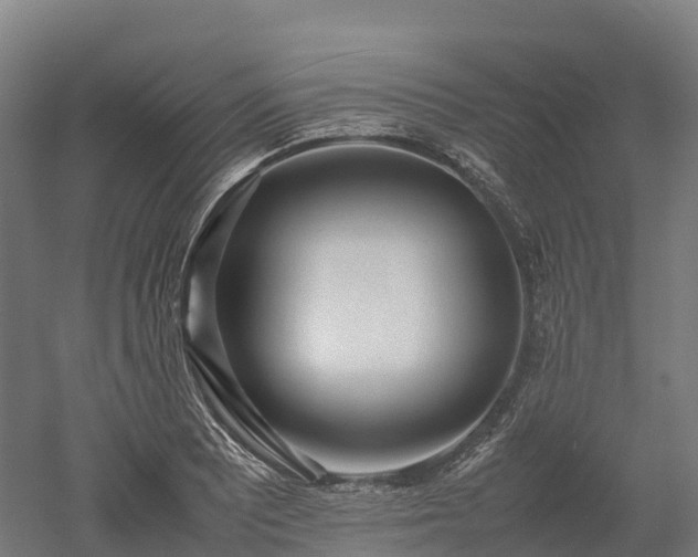 X0000052951081200507151703