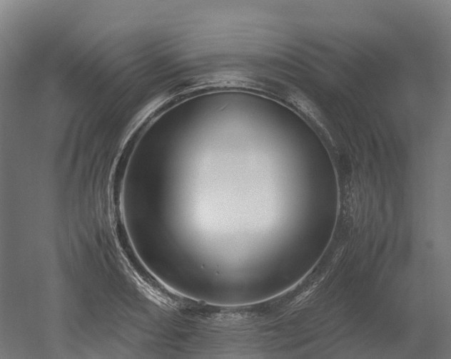 X0000052951082200507151703