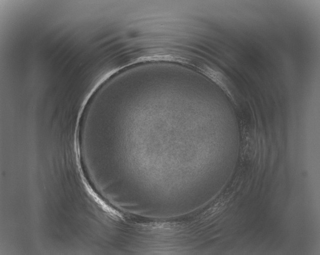X0000052951084200507151703