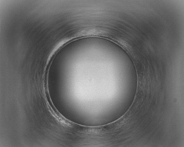 X0000052951086200507151703