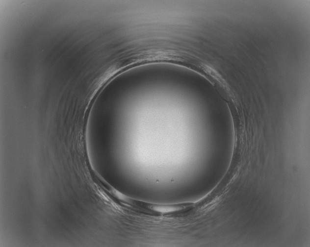X0000052951089200507151703
