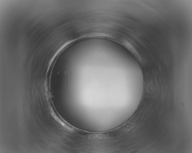 X0000052951092200507151703