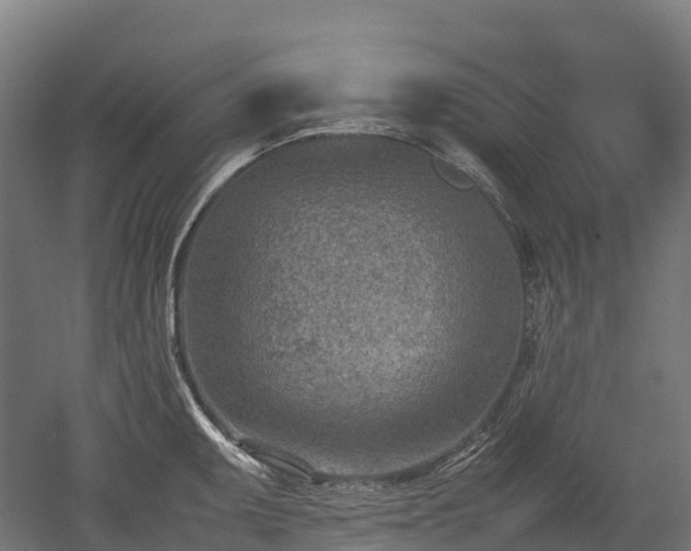 X0000052951095200507151703