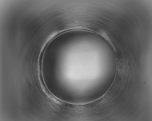 X0000052951096200507151703