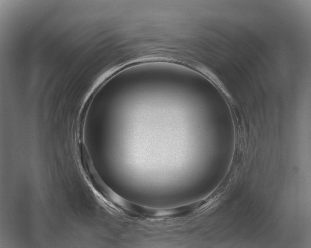 X0000052951101200507151703