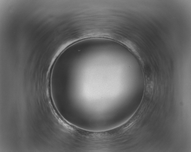 X0000052951102200507151703