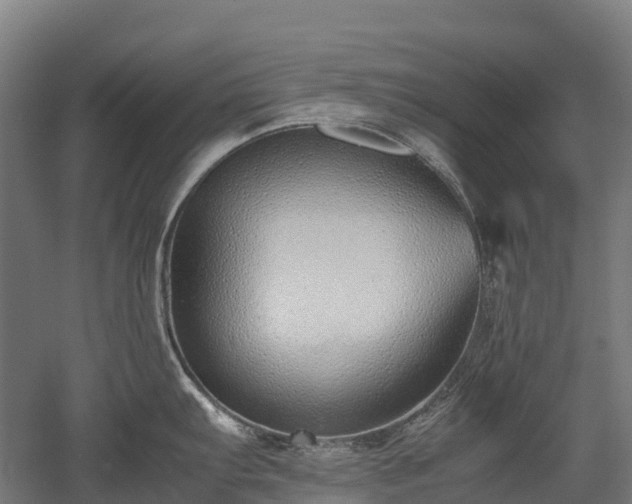 X0000052951103200507151703