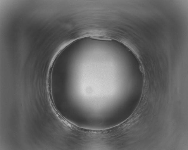 X0000052951104200507151702