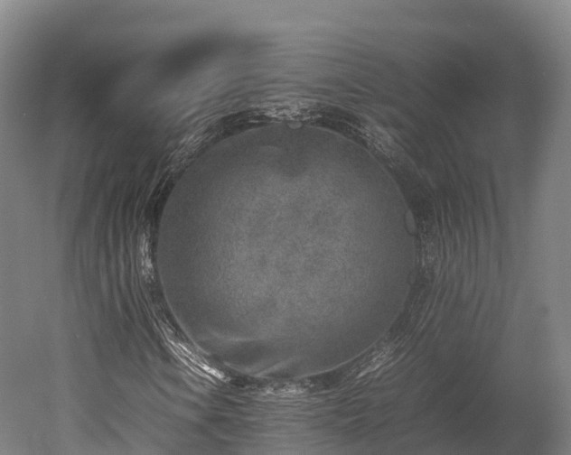 X0000052951106200507151702