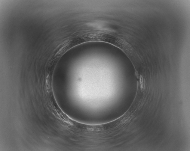 X0000052951107200507151702