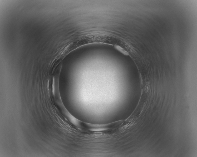 X0000052951108200507151702