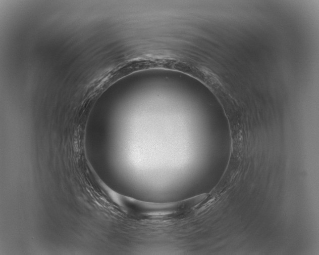X0000052951110200507151702