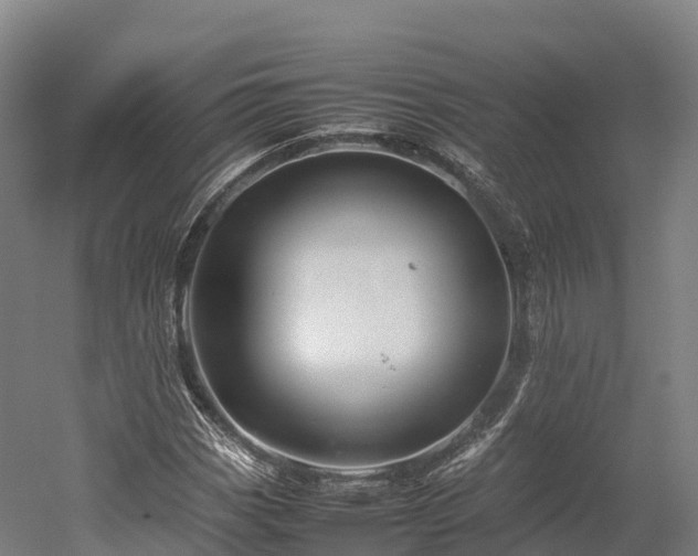 X0000052951113200507151702