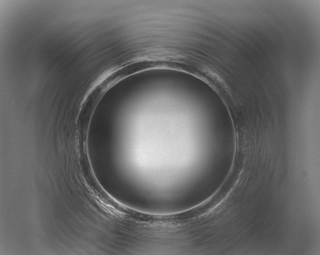 X0000052951114200507151702