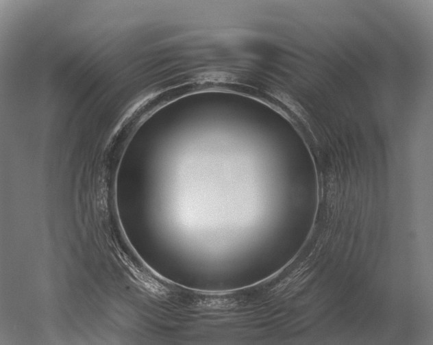 X0000052951115200507151702