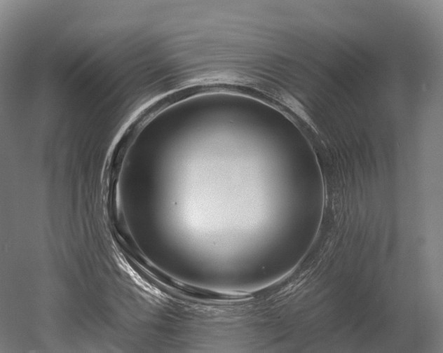X0000052951116200507151702
