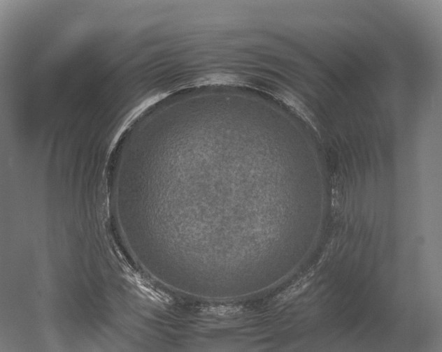 X0000052951117200507151702