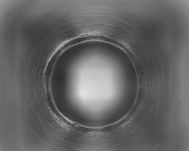 X0000052951118200507151702