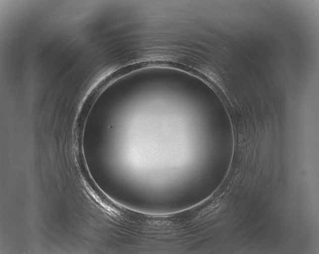 X0000052951119200507151702