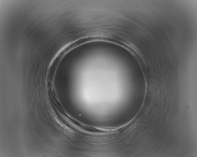 X0000052951120200507151702