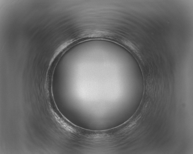 X0000052951122200507151702