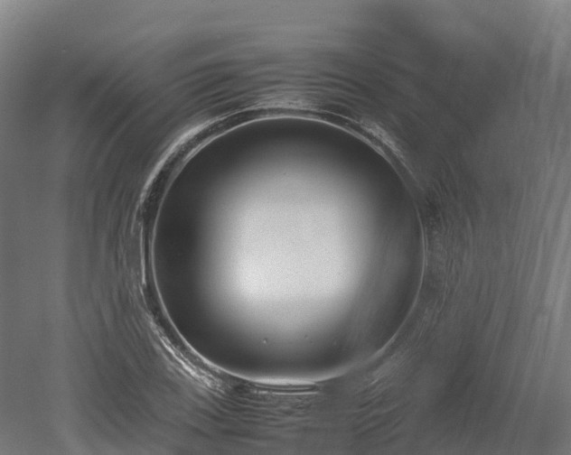 X0000052951123200507151702