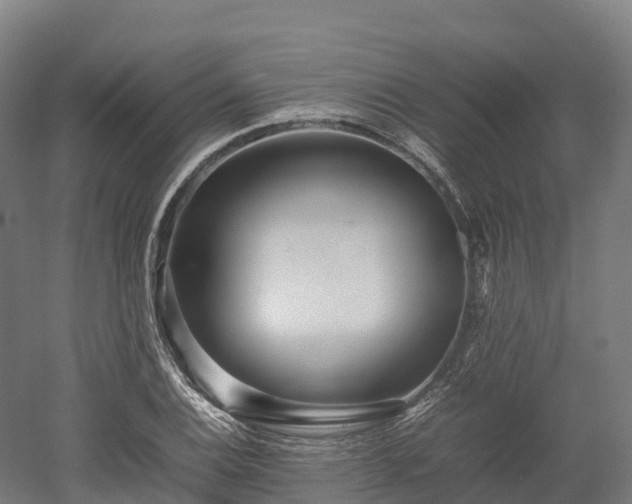 X0000052951124200507151702