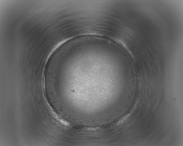 X0000052951125200507151702