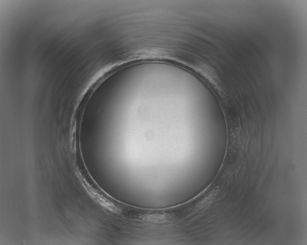 X0000052951126200507151702