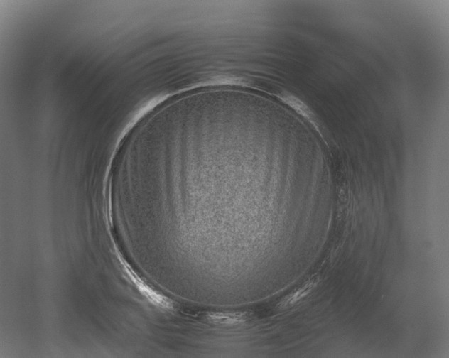 X0000052951127200507151702