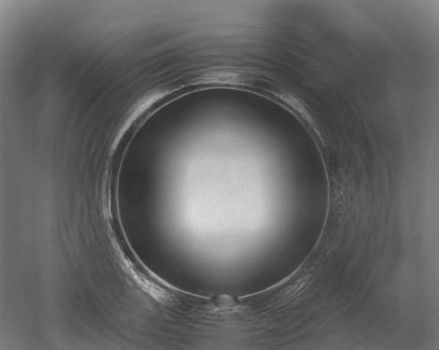 X0000052951131200507151702