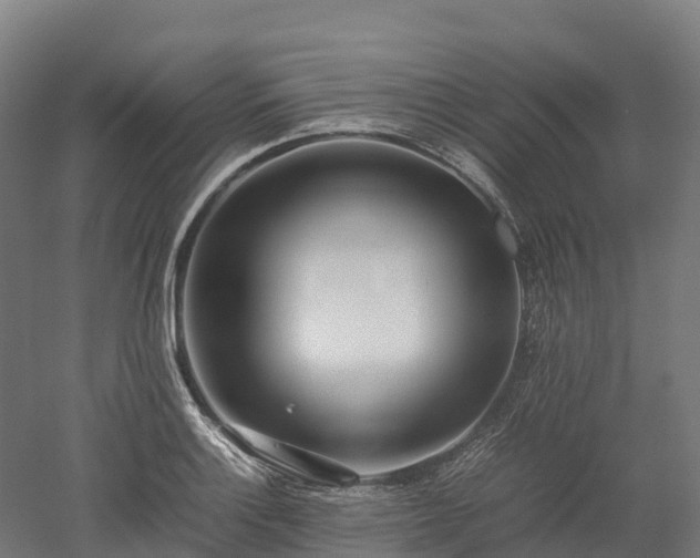X0000052951132200507151702