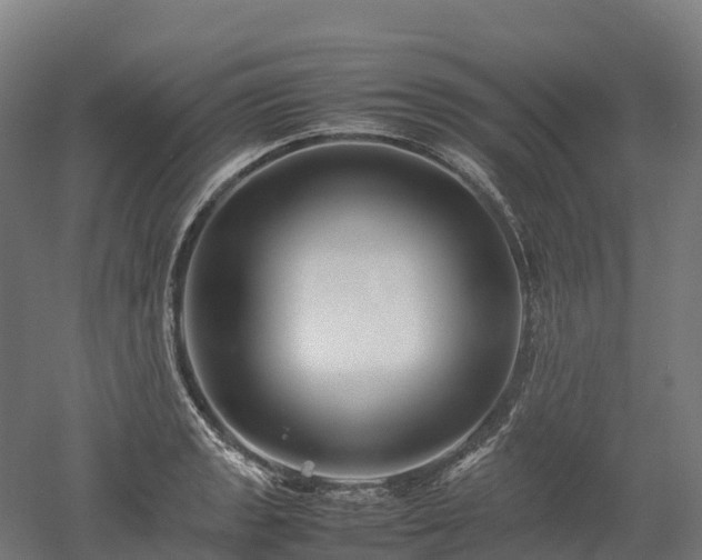 X0000052951133200507151702