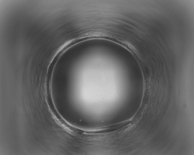 X0000052951134200507151702