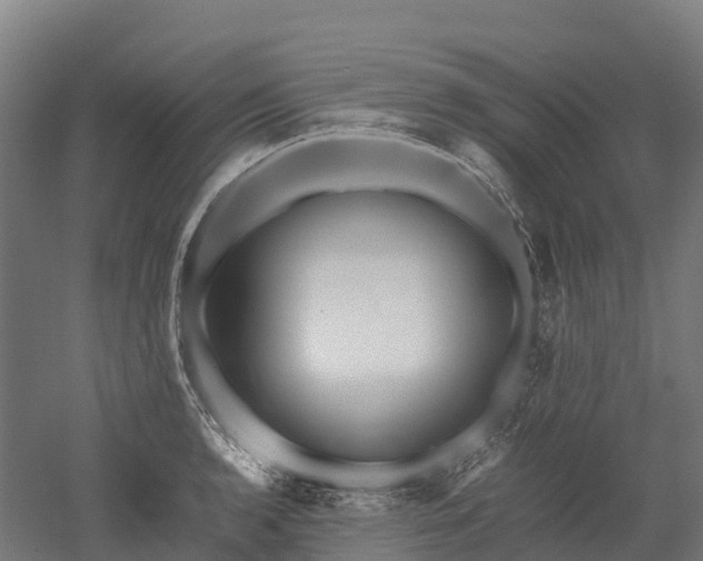 X0000052951136200507151702