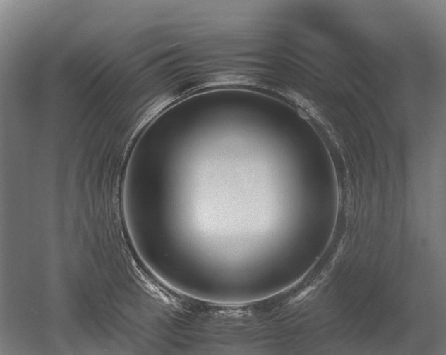 X0000052951137200507151702