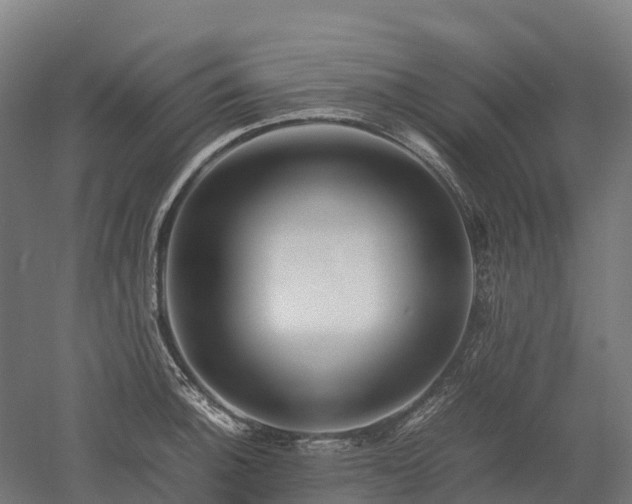 X0000052951140200507151702