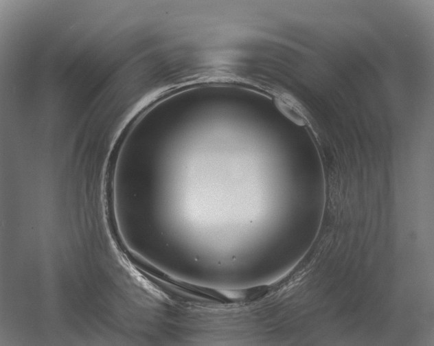 X0000052951142200507151702