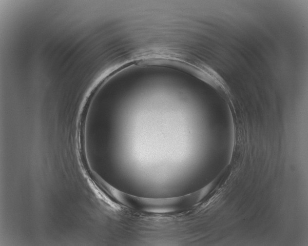 X0000052951144200507151702