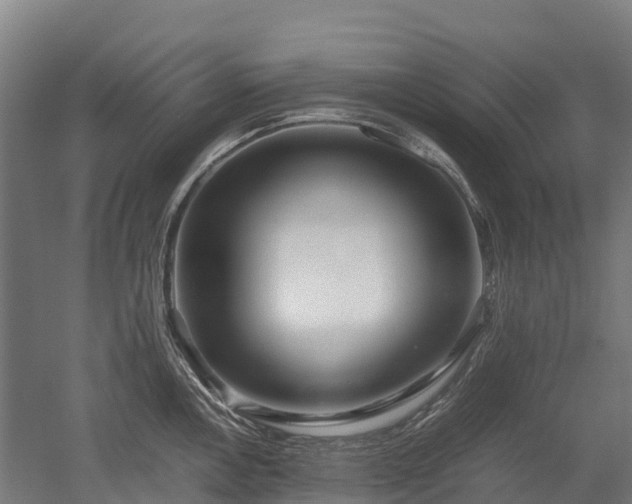 X0000052951146200507151702