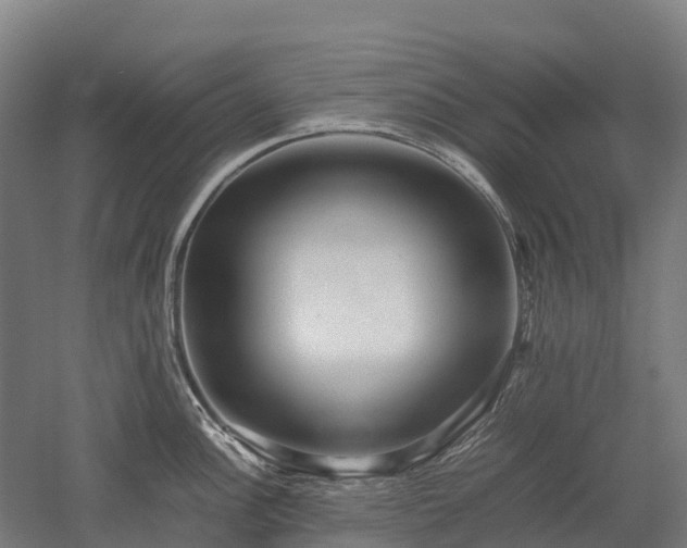 X0000052951148200507151702